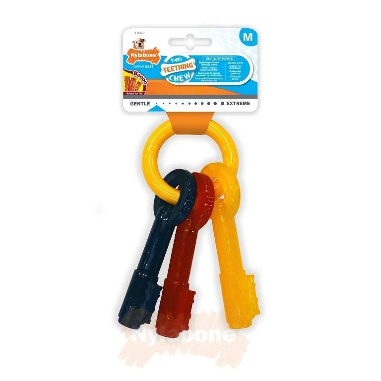 - Environmentally friendly pet toy recommendationsNylabone Bacon Puppy Keys Chew