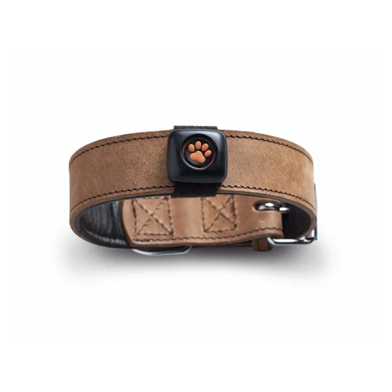 ---Pitpat Dog Activity Monitor