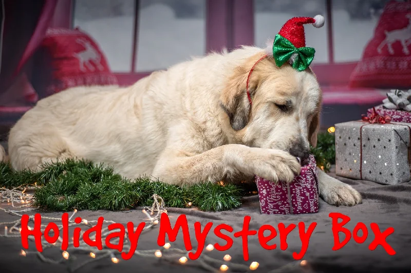 Pet ProductsHoliday Mystery Box for Dogs