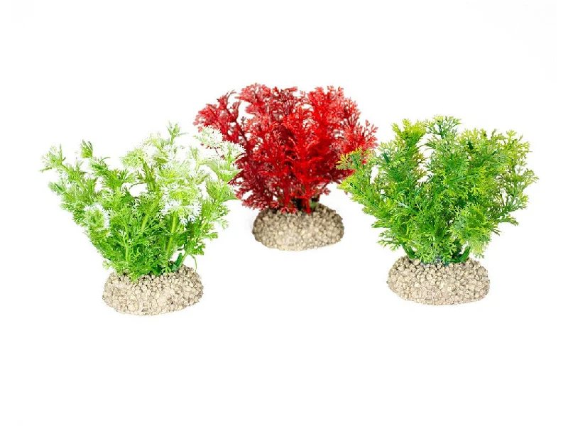 - Cat stress soothing sprayPlant Hottonia S - Height 10Cm Mixed Colors1