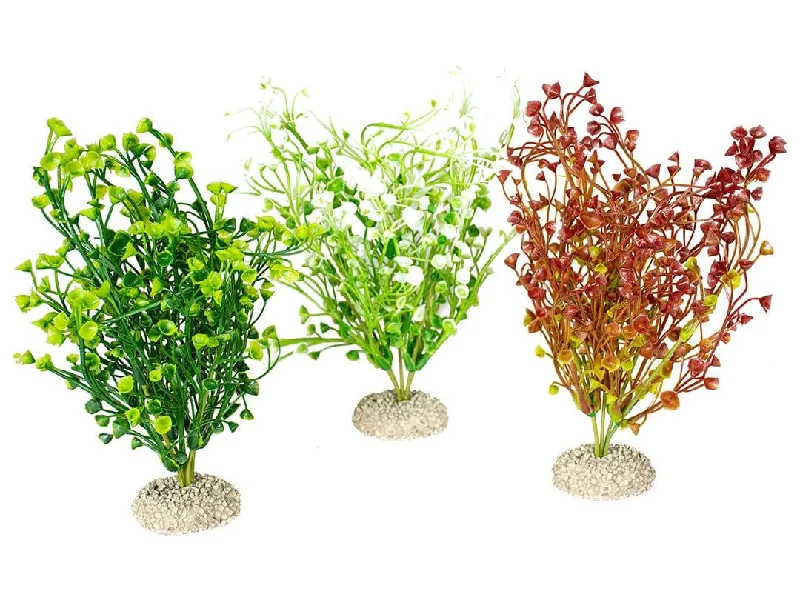 - ​​Christmas pet Christmas clothingPlant Bacopa M - Height 25Cm Mixed Colors