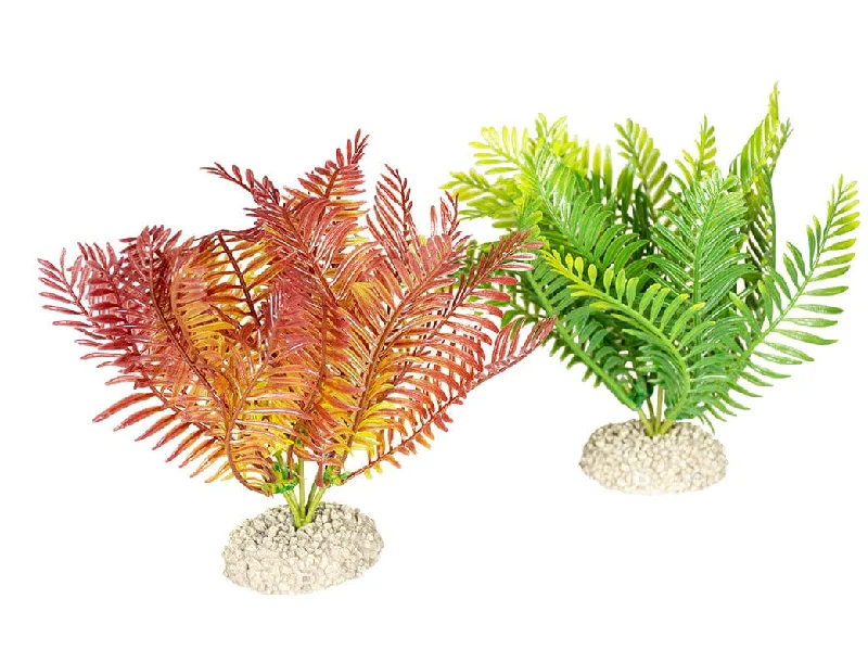 ---Plant Bolbitis M - Height 17,5Cm Mixed Colors