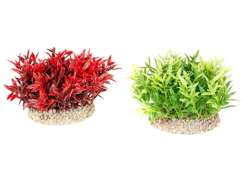 - Remote interactive pet feederPlant Miracle Moss S - Height 7,5Cm Mixed Colors