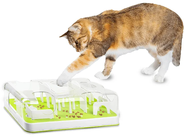 ---AFP Interactives-Puzzle Cat Feeder