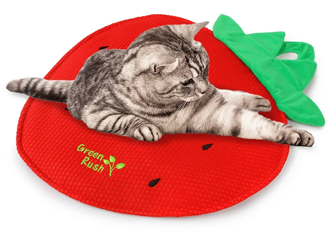 - Hamster silent running wheel to prevent chewingAFP Green Rush - Strawberry Play Mat