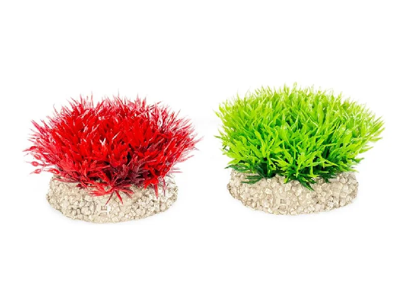 - Natural latex pet mattressPlant Crystalwort Moss S - Height 5Cm Mixed Colors