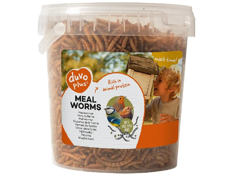 - Winter dog thick down jacketMeal Worms Ca. 200Gr