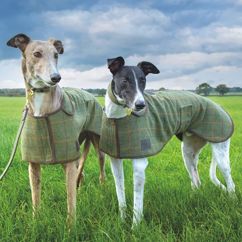 - Organic cotton dog bibsDigby & Fox Tweed Greyhound Dog Coat