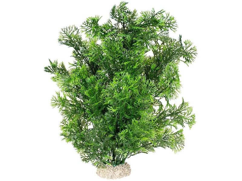  -Non-contact cat thermometerPlant Phoenix L - Height 30Cm Dark Green