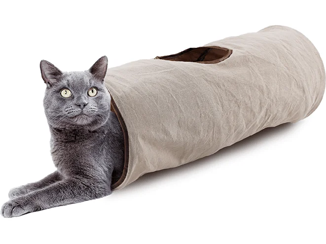  -Anti-scratch scratching board AND cat bed in oneAFP Classic Comfort - Crinkle Cat Tunnel 62cm