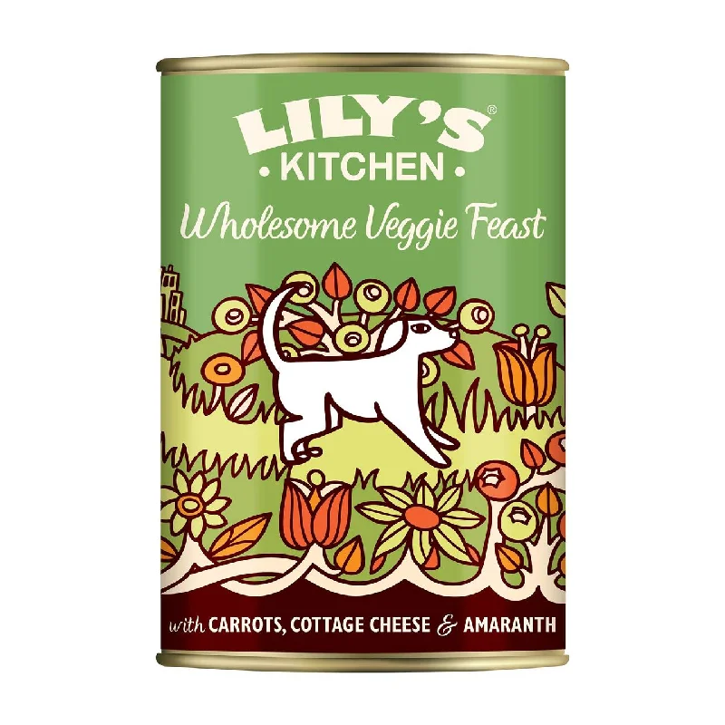 - Hypoallergenic dog foodLily's Kitchen Wholesome Veggie Feast for Dogs 375g