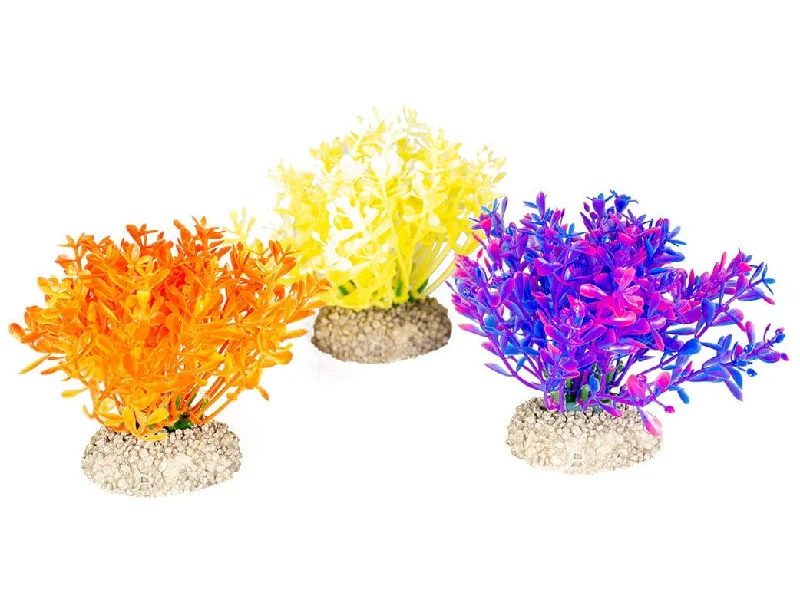 - ​​Pet toys under    yuanPlant Glosso S - Height 9Cm Mixed Colors1