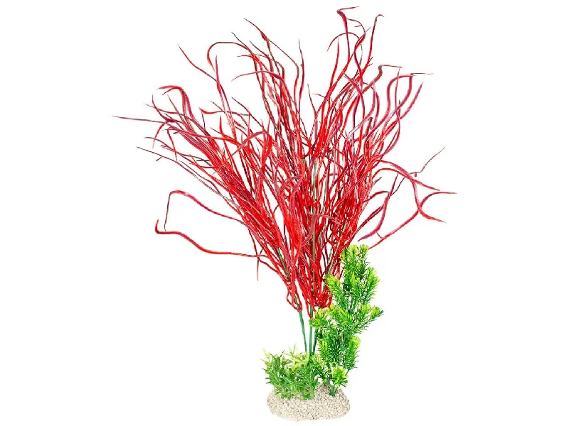 - Pet monitor with cameraPlant Lily Grass Xl - Height 50Cm Mixed Colors