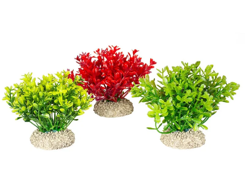 - Pet diabetes prescription foodPlant Glosso S - Height 9Cm Mixed Colors2