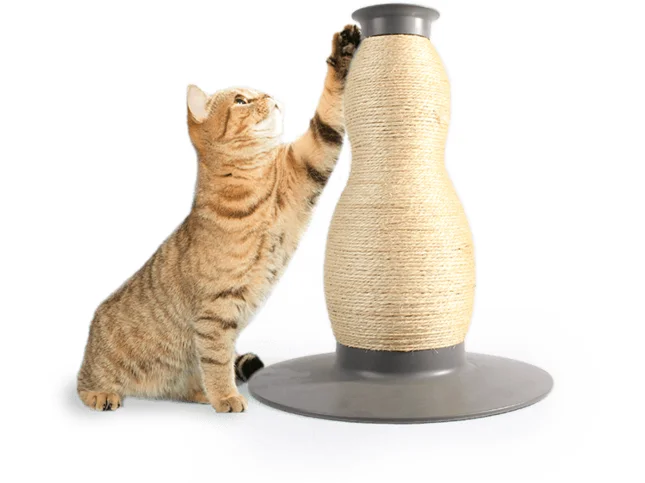  -Non-contact cat thermometerAFP Liftstyle4Pet-Vase sisal scratcher